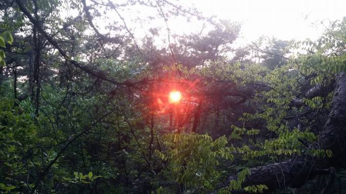 34748223_110406059856543_3600934747431239680_n