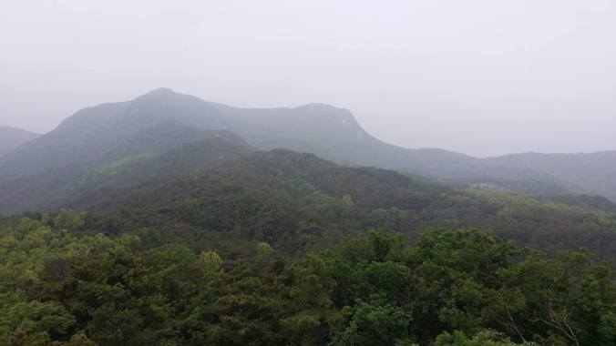 34755231_110405959856553_1010272730034995200_n